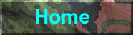 b_home.gif (7883 bytes)
